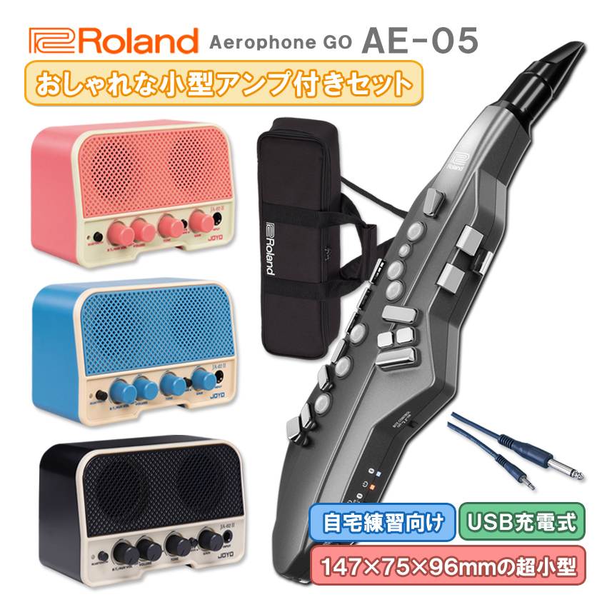Roland Aerophone GO AE-05【初心者でも簡単に接続】Bluetooth機能付き おしゃれなレトロデザインの小型アンプ付き ウインドシンセ デジタル管楽器 電子楽器 | ローランド
