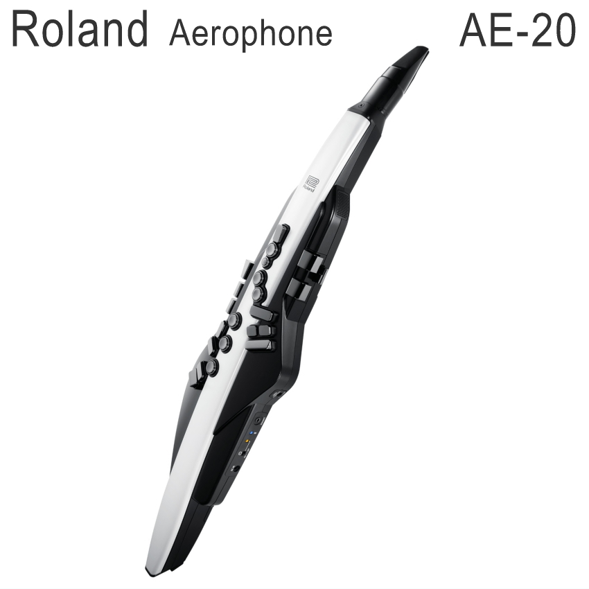 Roland Aerophone AE-20（ローランド エアロフォン AE20） : ae-20