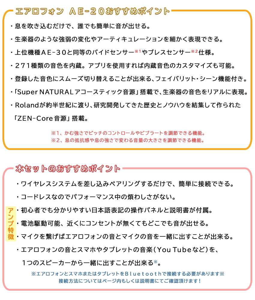 Roland Aerophone AE-20【初心者でも大丈夫！簡単に路上ライブが出来るセット】日本語操作パネルのアンプ付き ウインドシンセ デジタル管楽器 電子楽器 | ローランド | 01