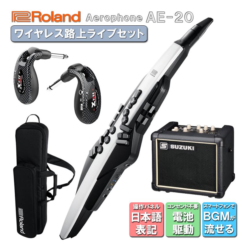 Roland Aerophone AE-20【初心者でも大丈夫！簡単に路上ライブが出来る