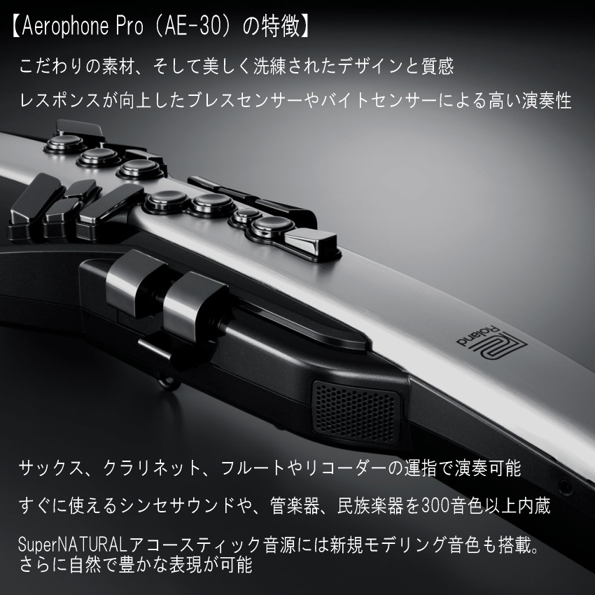 Roland エアロフォン プロ /AE-30 Aerophone Pro デジタル管楽器