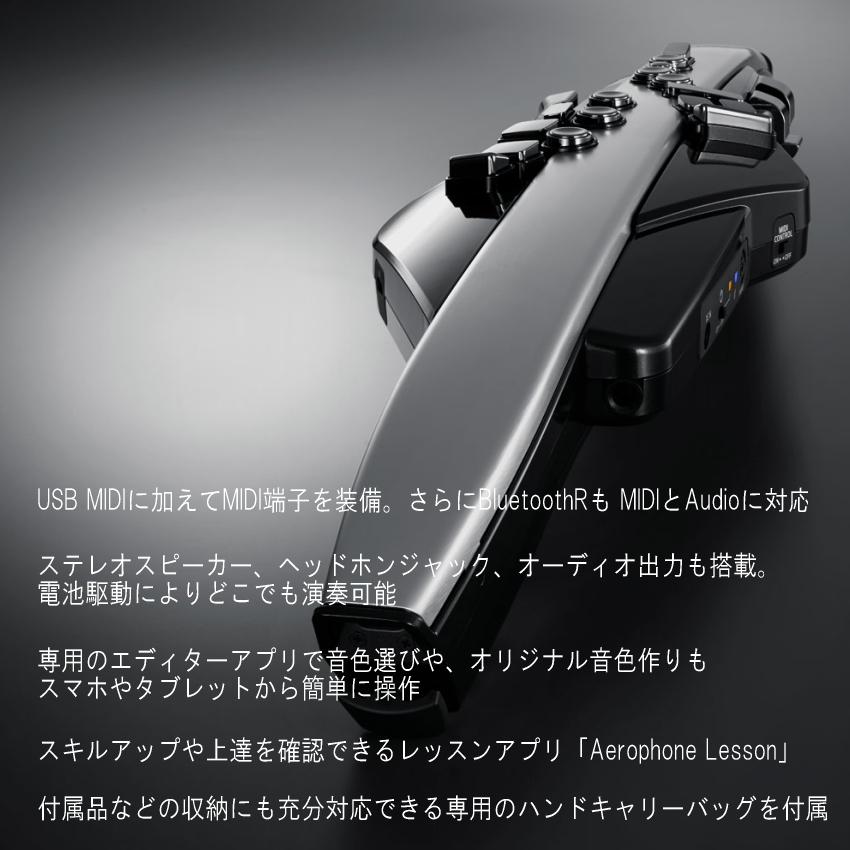 Roland エアロフォン プロ /AE-30 Aerophone Pro デジタル管楽器