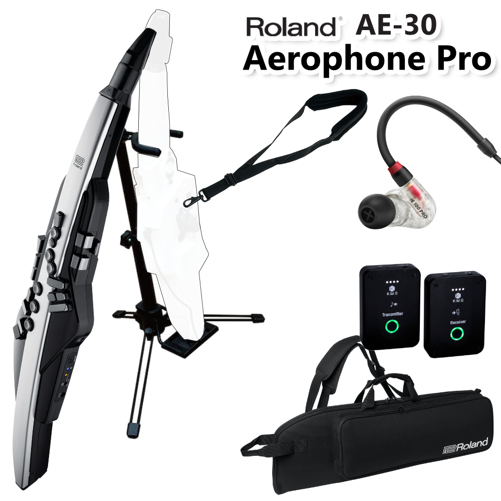 Roland �G�A���t�H�� �f�W�^���Ǌy�� AE-30 / ���C�����X�C�����j�^�[�Z�b�g