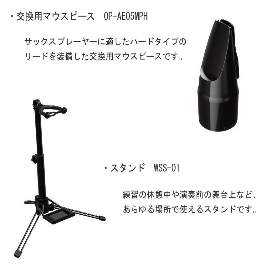 Roland エアロフォン プロ /AE-30 Aerophone Pro デジタル管楽器