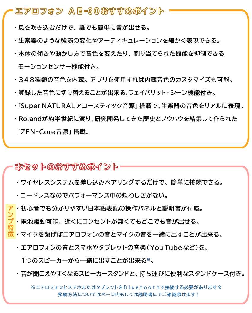 Roland Aerophone Pro AE-30【初心者でも路上ライブが出来る】スピーカースタンド＆ケース 日本語操作パネルのアンプ付き ウインドシンセ 電子楽器 爆買 | ローランド | 01