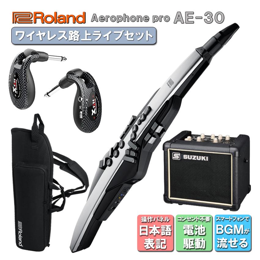 Roland Aerophone Pro AE-30【初心者でも大丈夫！簡単に路上