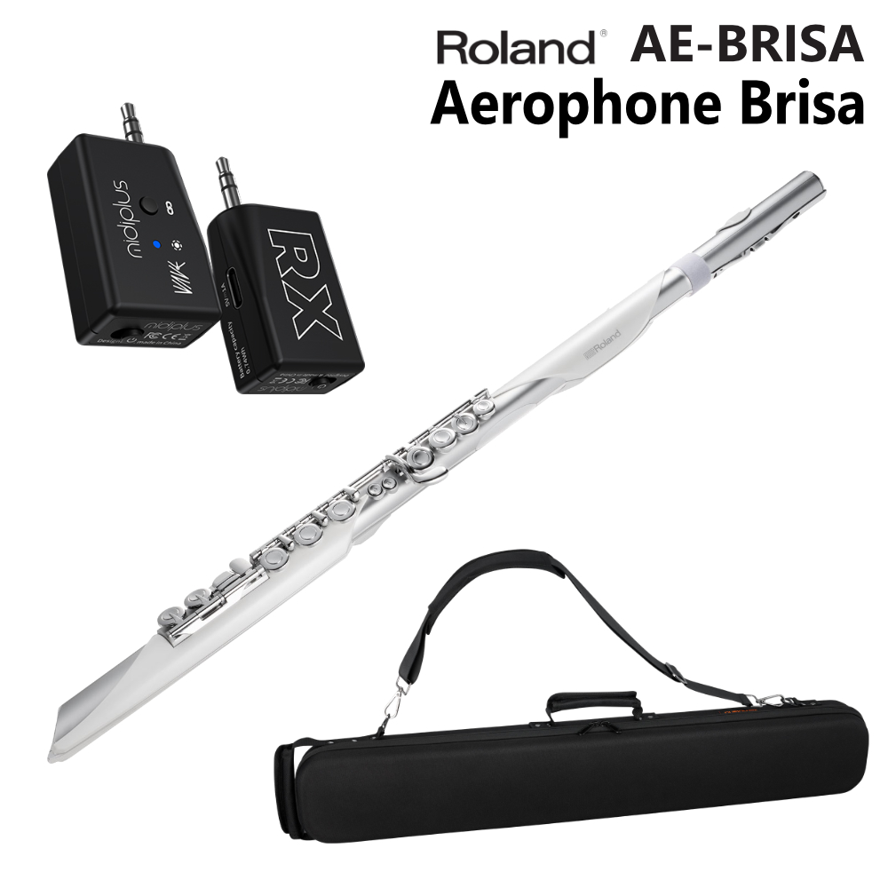 ローランド（Roland） エアロフォン ブリサ Aerophone Brisa