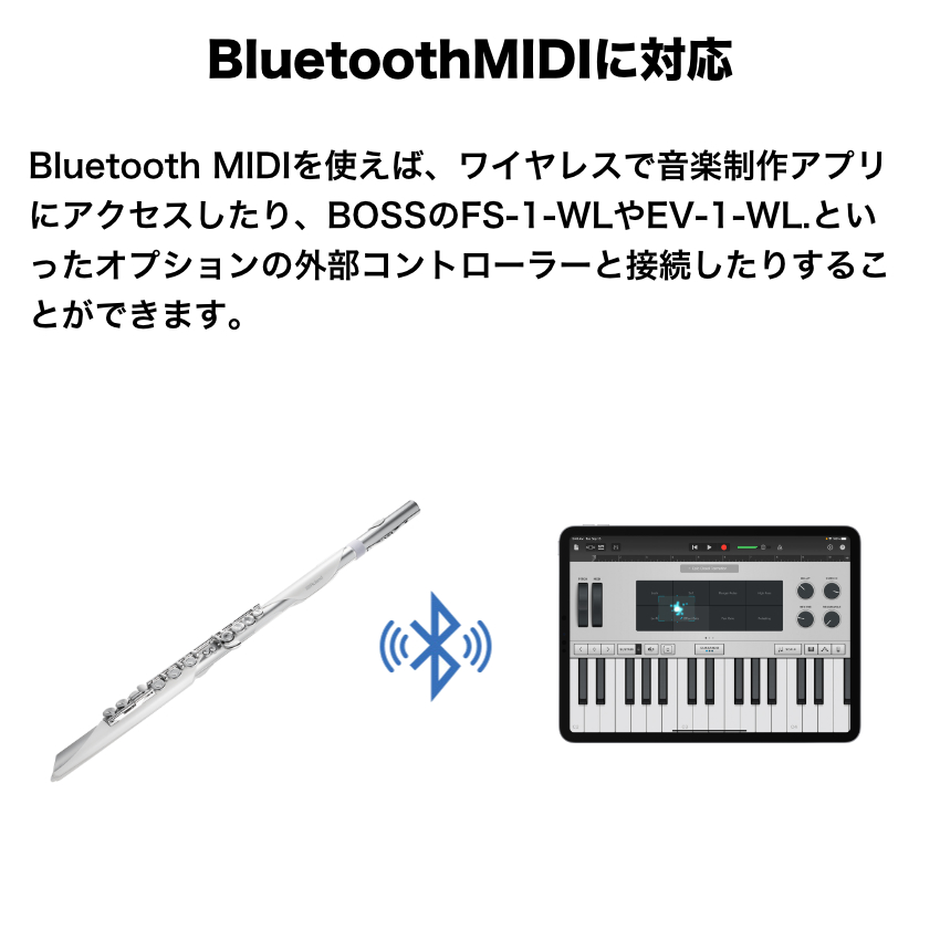 ローランド（Roland） エアロフォン ブリサ Aerophone Brisa