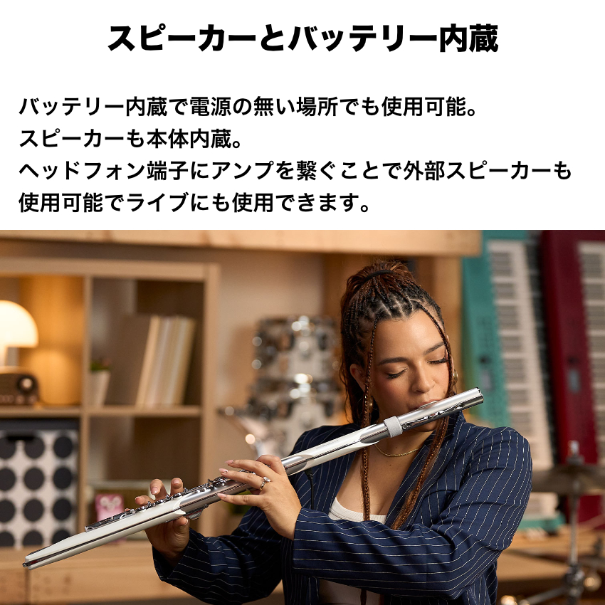 ローランド（Roland） 【11/21入荷分】Roland エアロフォン ブリサ