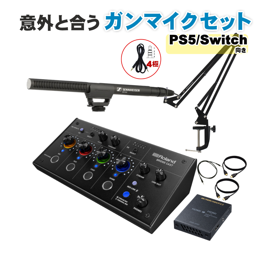 Roland BRIDGE CAST Sennheiser ガンマイクセット MKE 600 (HDMI分離器セット)