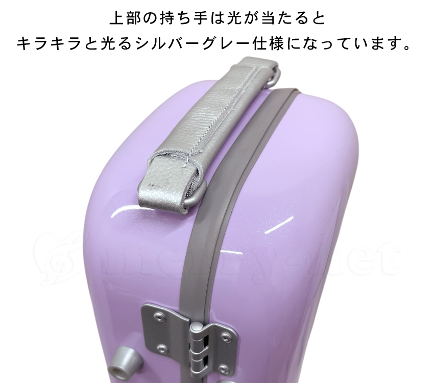 公式サイト - ハイブランドの新作が続々登場 シャイニー 2024年NEWカラー□C.C.シャイニーケースII 管楽器・吹奏楽器
