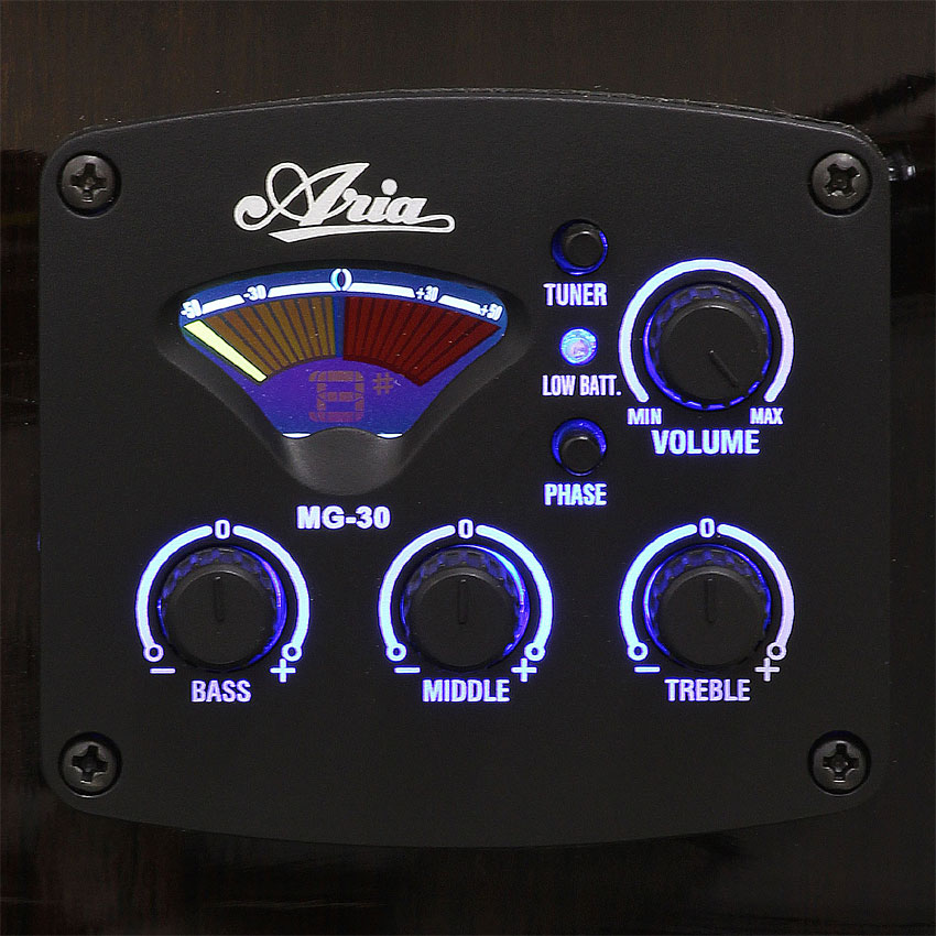 Legend エレクトリックアコースティックギター FG-15CE BLS レジェンド エレアコ 入門 初心者 FG15CE