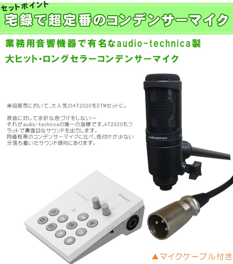 ローランド Roland iPhone用オーディオインターフェイス GO