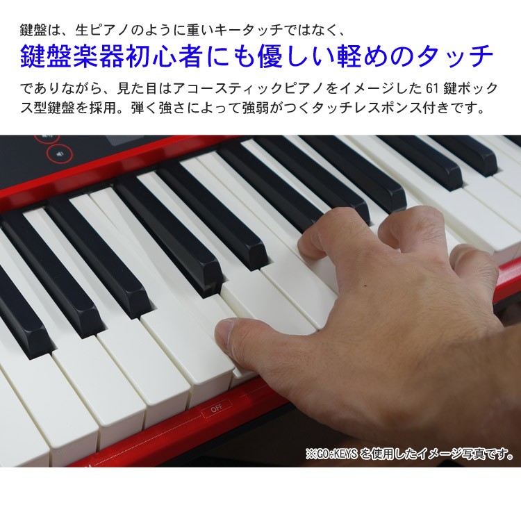 ローランド ローランド 61鍵盤電子キーボード (ピアノ音色が