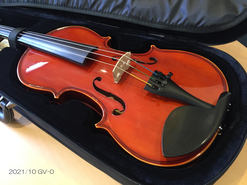 SKY Full Size Professional Oblong Shape Lighweight Violin Case with Hyg