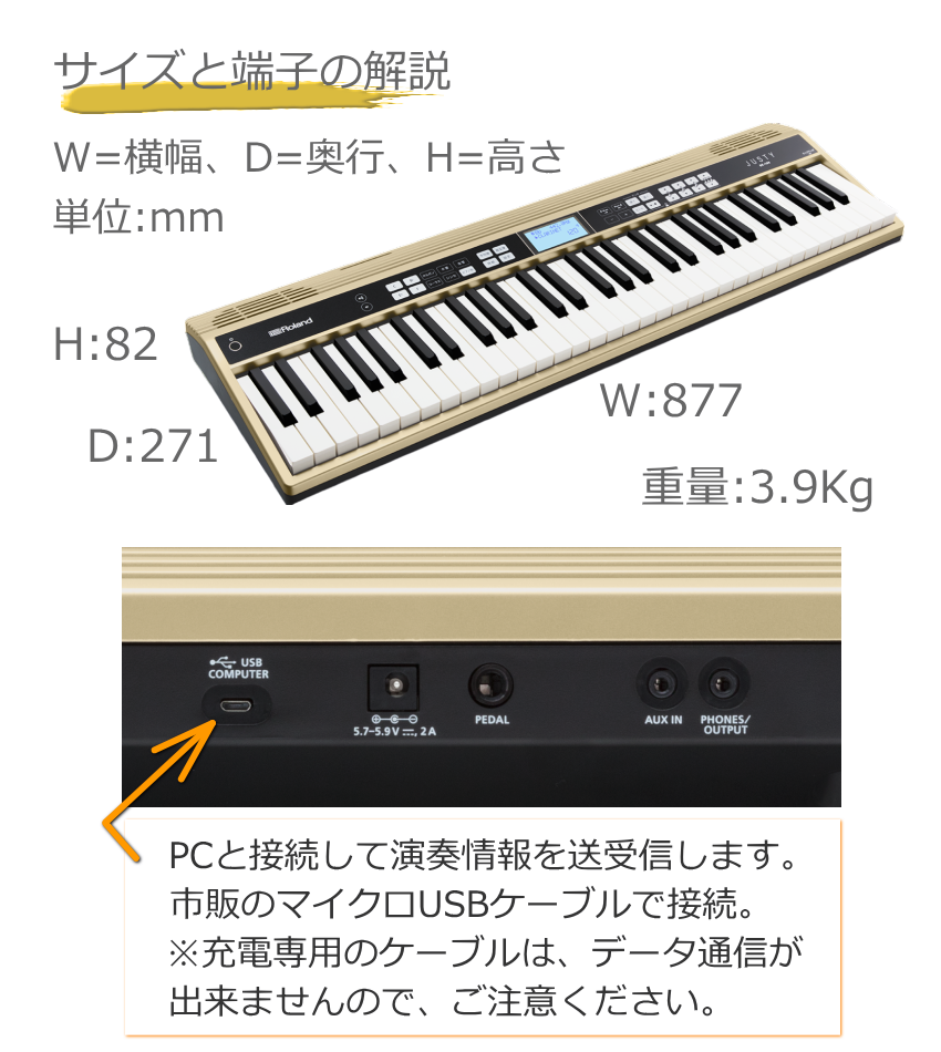 hk100-spcase-main.jpg