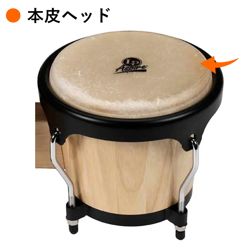 LP ボンゴ LPA601-AW エルピー Aspire ウッドボンゴ ナチュラル