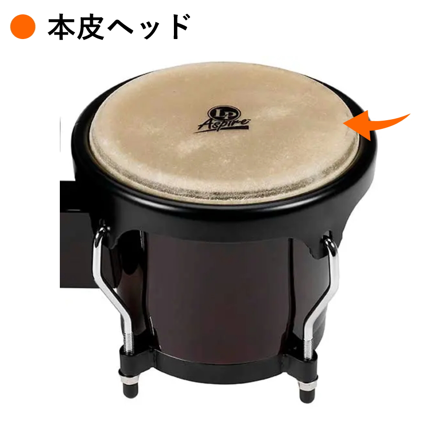 Amazon | LP LP330D LP BONGO STAND THRONE ATTACHMENT ボンゴ