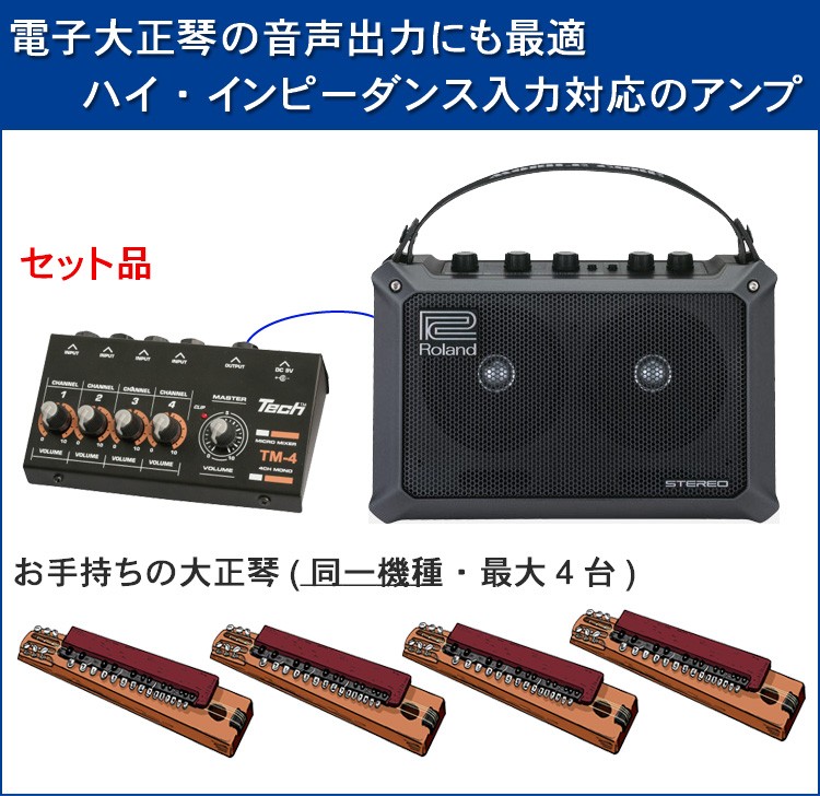 Roland 軽量・多目的アンプ スピーカーセット (4入力・同時出力)大正琴 