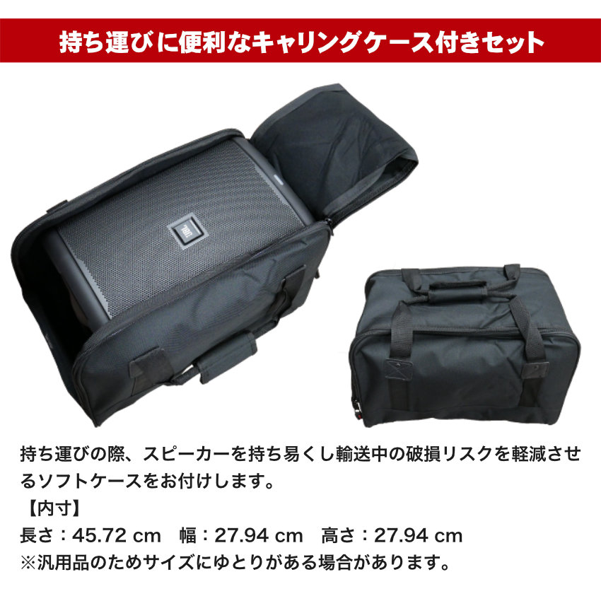 Roland AC-22XL キャリングケース付 ダイナミックマイク1本セット | ローランド | 01