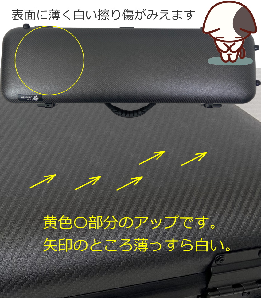 B級品 LION カーボン バイオリンケース SolidPro 上位モデル カーボンブラックの画像
