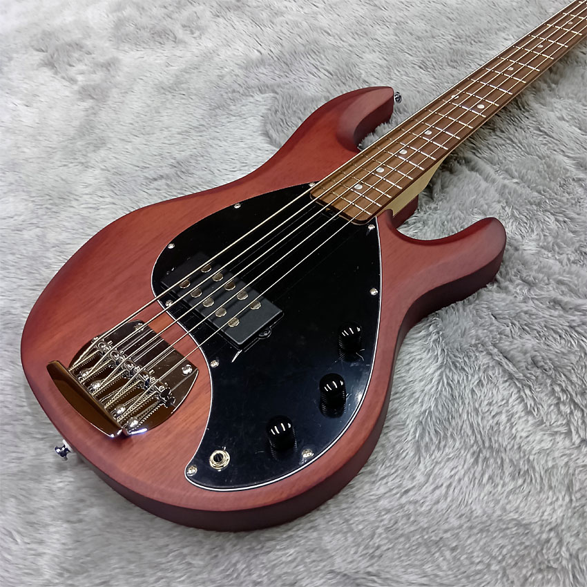 Sterling by MUSIC MAN �G���L�x�[�X Ray5 Walnut Satin 5���x�[�X �X�e�B���O���C �X�^�[����