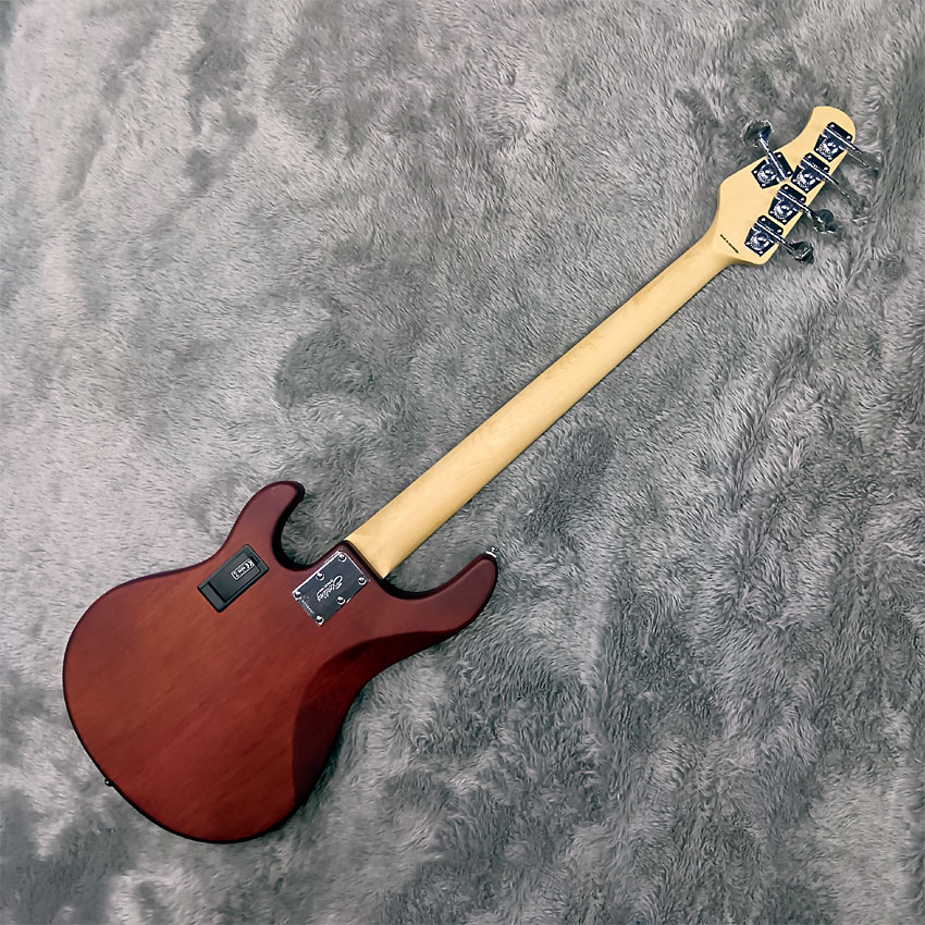 Sterling by MUSIC MAN エレキベース Ray5 Walnut Satin 5弦ベース