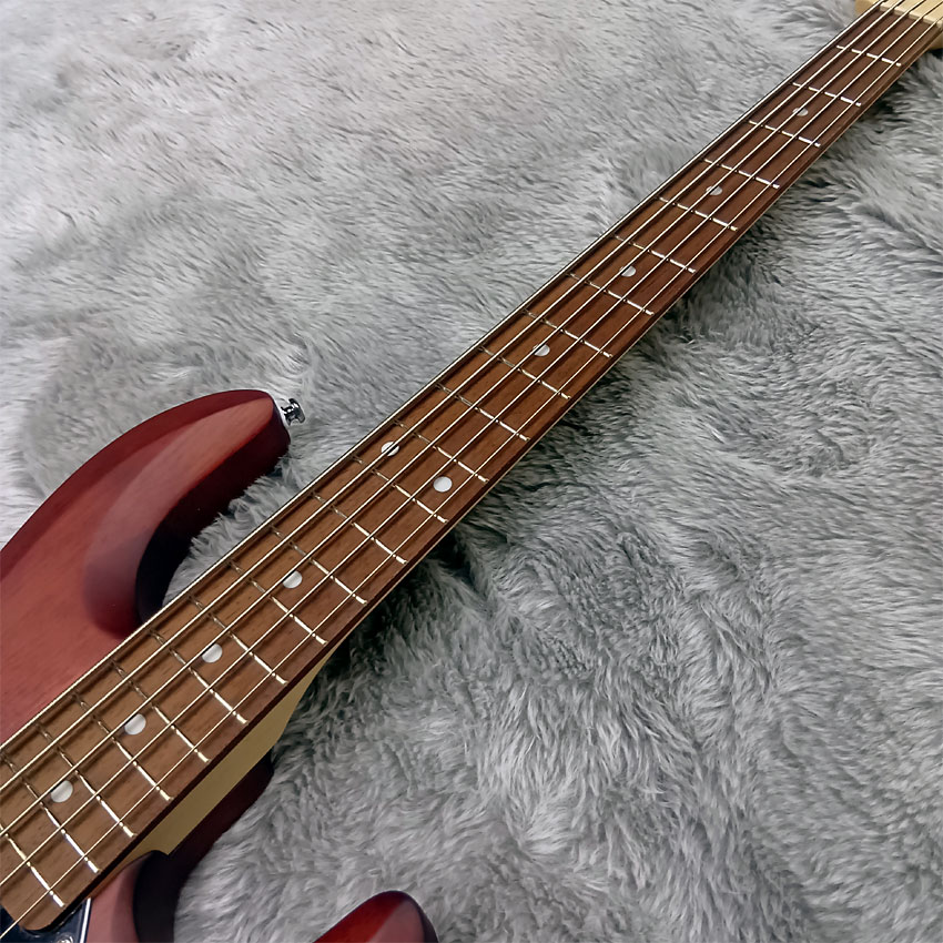 Sterling by MUSIC MAN エレキベース Ray5 Walnut Satin 5弦ベース