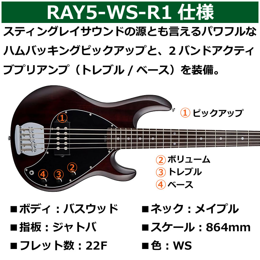 Sterling by MUSIC MAN エレキベース Ray5 Walnut Satin 5弦ベース