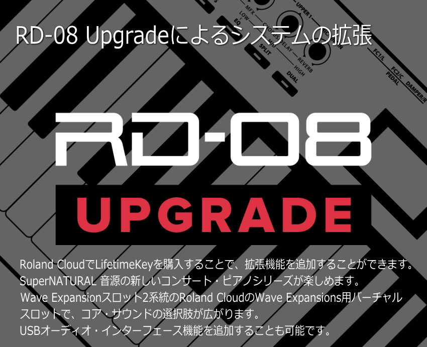 ローランド ステージピアノ RD-08 ケース付き | ローランド | 11