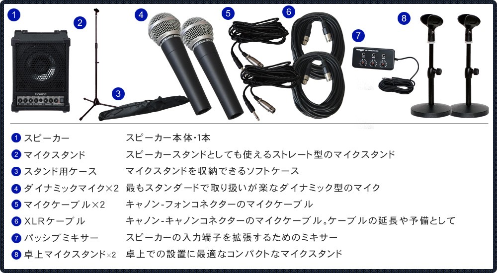 ローランド（Roland） お得な有線マイク2本・出力30W 簡易PAセット 