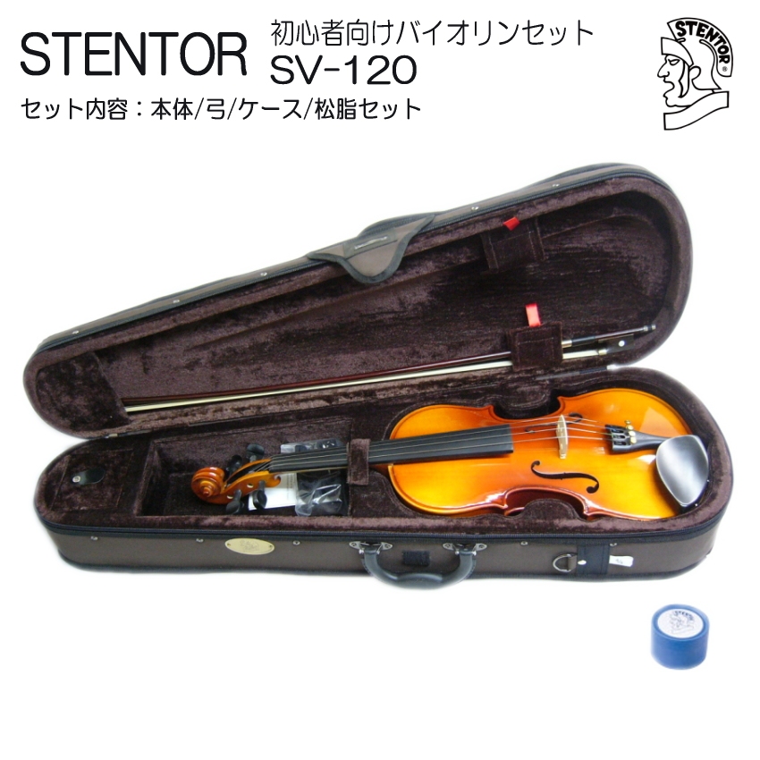 バイオリン 初心者 ステンター SV-120 4/4 入門 4点セット STENTOR