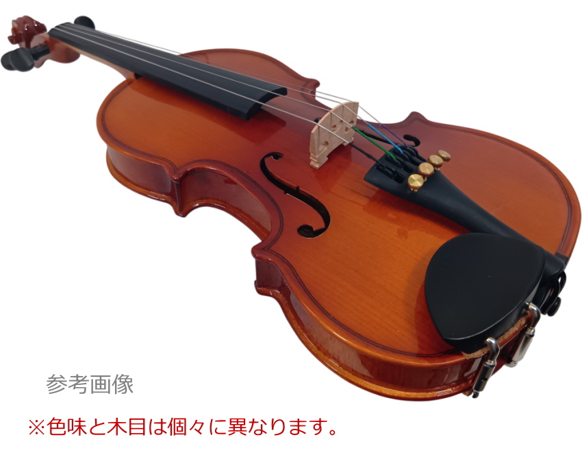 KIKUTANI（キクタニ） ステンター バイオリン SV-FGC SV-120 1/16