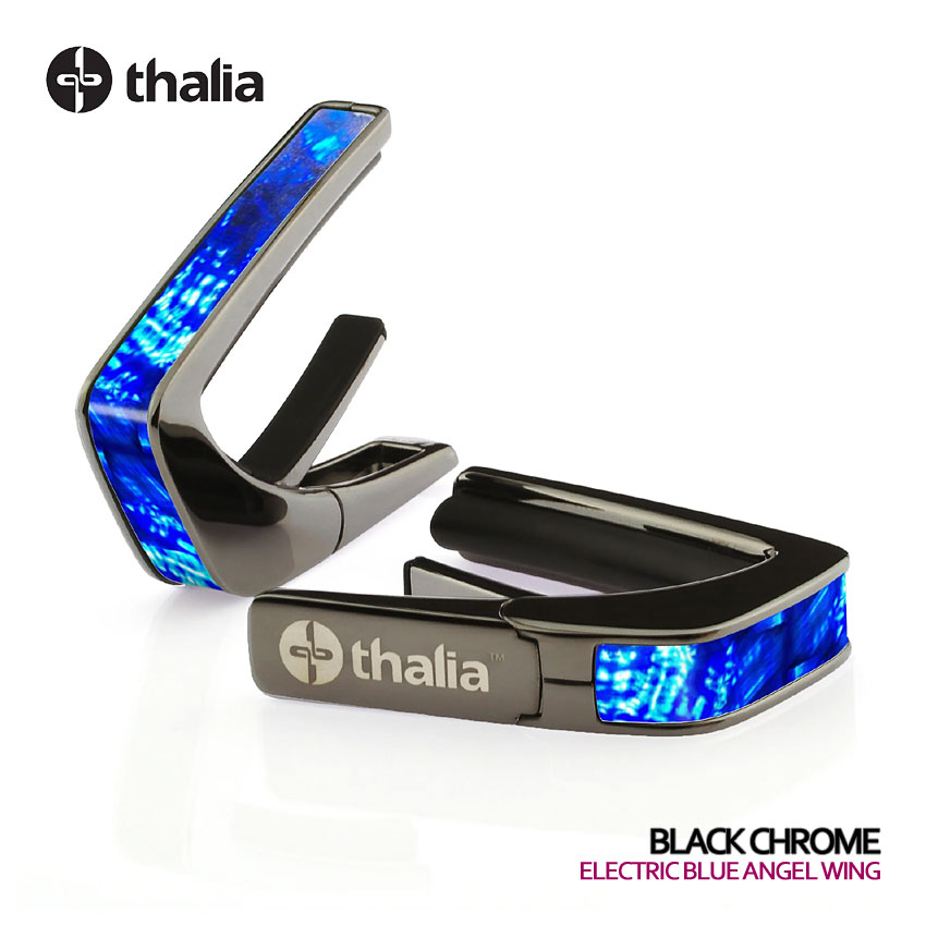 Thalia Capos タリアカポ Exotic Shell Series ELECTRIC BLUE ANGEL WING |  | 02