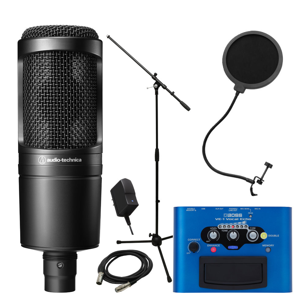 Amazon.com: Boss VE-1 Vocal Echo : Musical Instruments