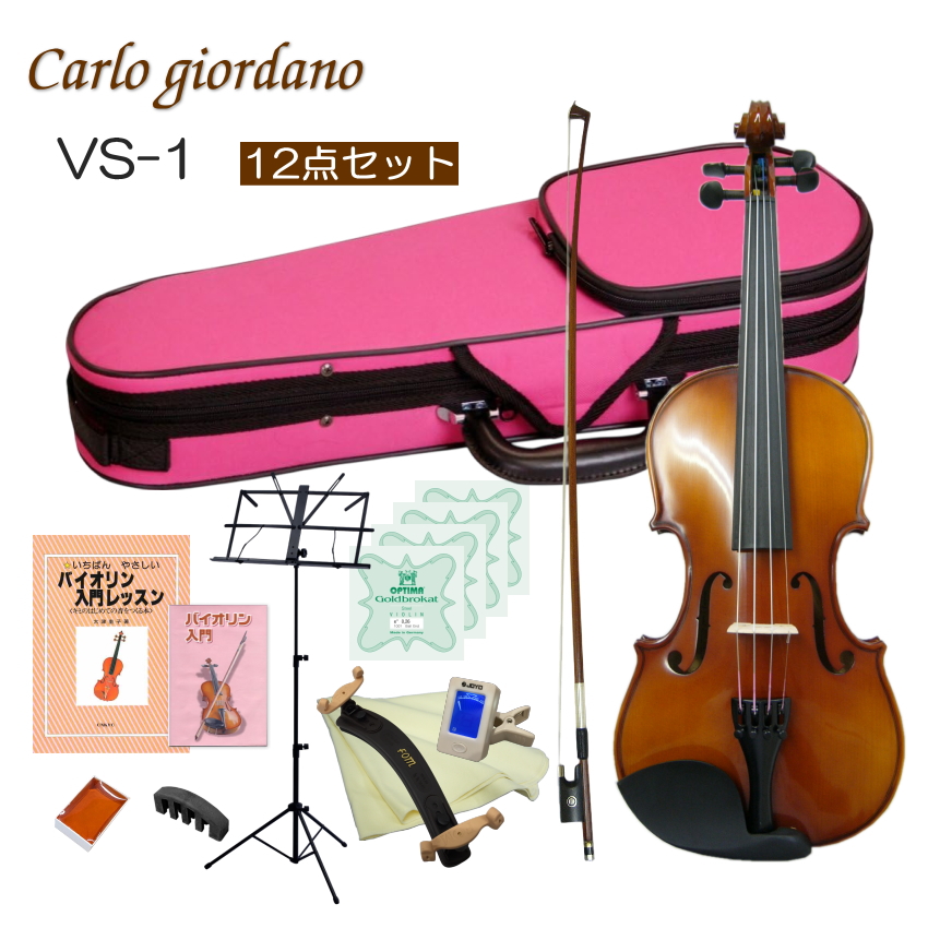 1/2バイオリン　初心者用セット　分数バイオリン　新品に近いです Eastman SVL80セット 1/32 バイオリン初心者セット 子ども用
