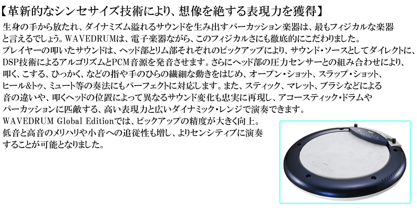 KORG（コルグ） KORG WD-X-GLB WAVEDRUM Global Edition デジタル