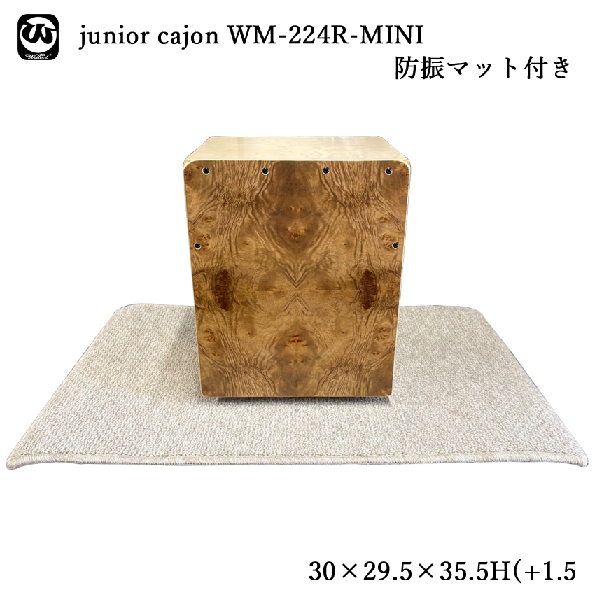カホン 子供」の人気商品一覧 | 安い商品を通販サイトから探す - 価格.com