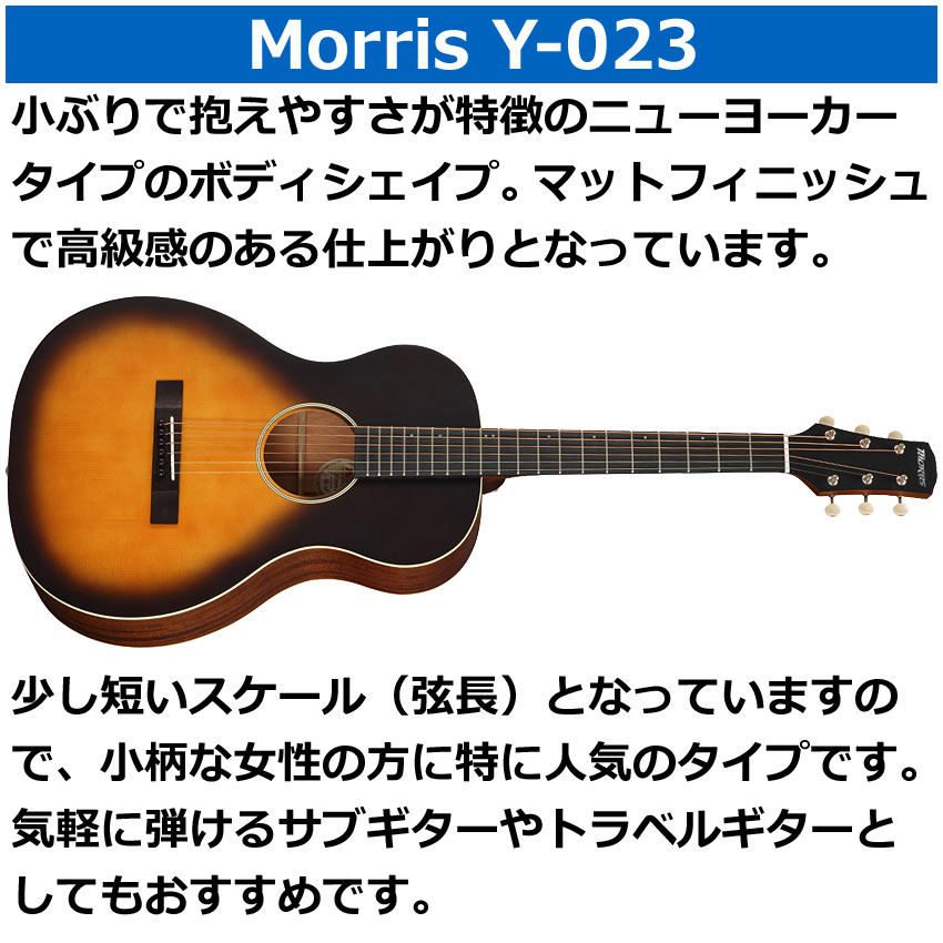 Morris アコースティックギター Y-023 VB モーリス