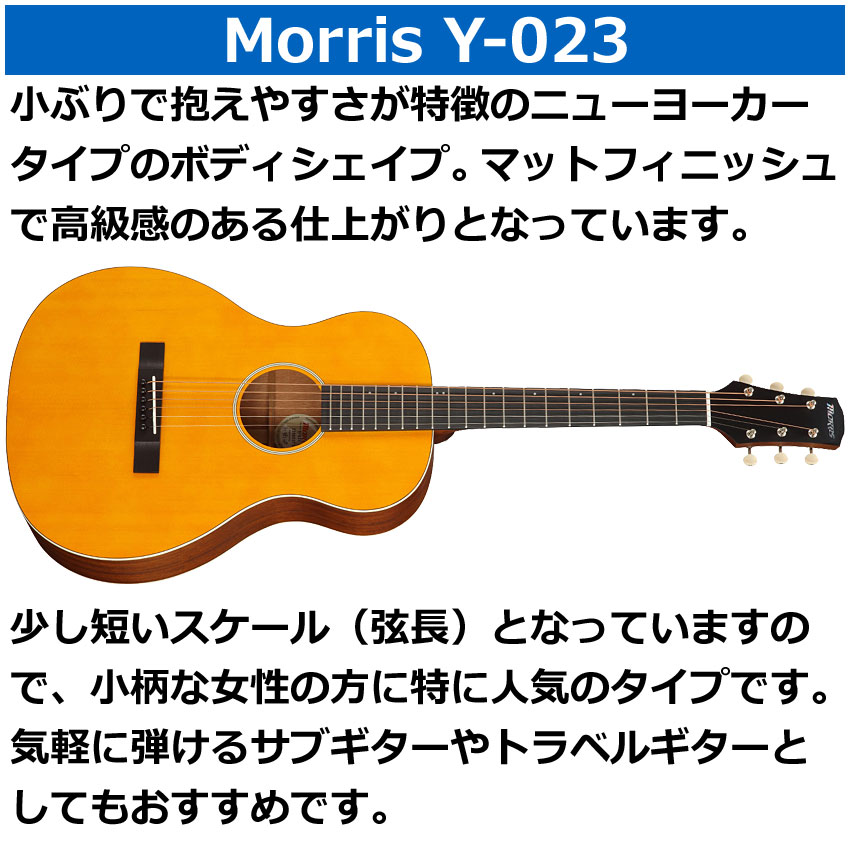 Morris アコースティックギター Y-023 VYL モーリス : 楽器のことなら