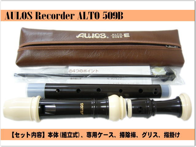 名入れ□アウロス アルト リコーダー 509B（E) 樹脂製 Aulos : メリー
