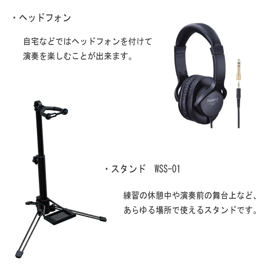 ローランド（Roland） デジタルサックス エアロフォン Aerophone AE-20