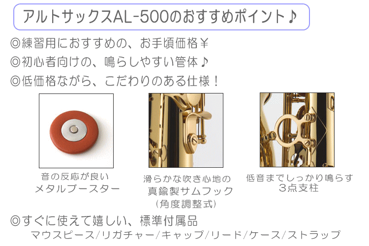 アルトサックス 初心者 AL-500 独学向けセット（教則DVD/サックス