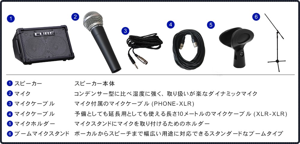 Roland ローランド CUBE STREET EX 有線マイク1本＋スピーカーケース付きセット_2