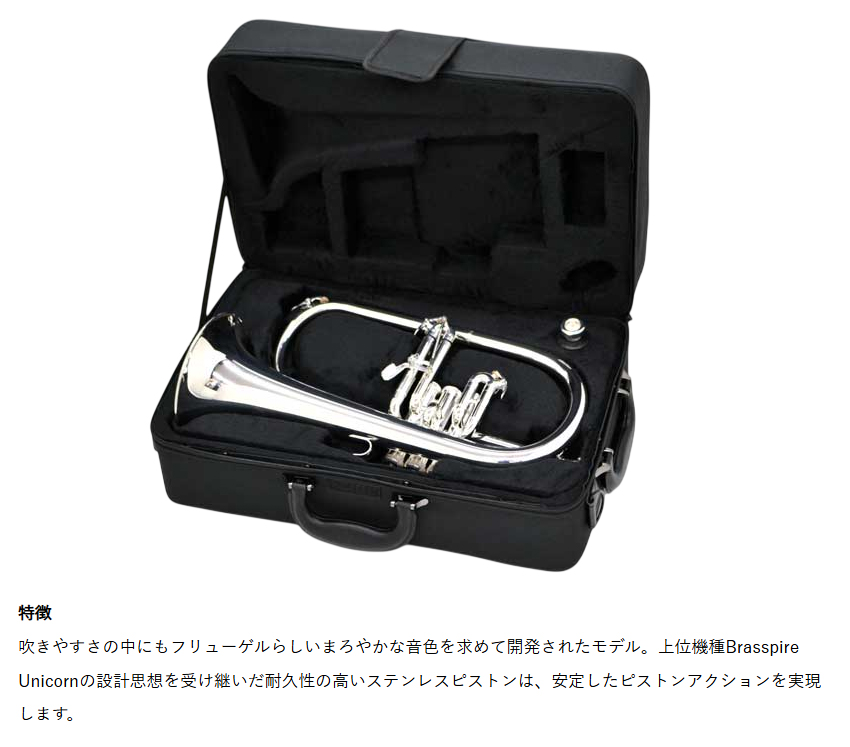 Kaerntner フリューゲルホルン KFG50のおすすめ人気商品一覧 通販