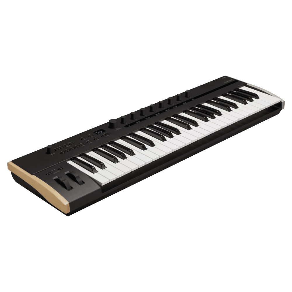 KORG（コルグ） KORG MIDIキーボード Keystage 49 49鍵盤 USB MIDI2.0