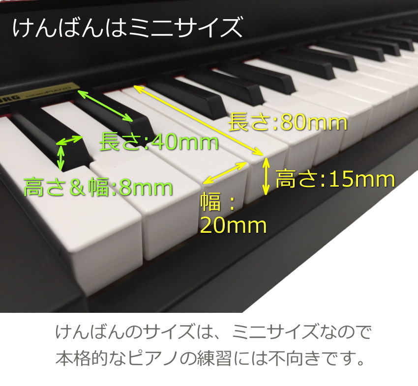 KORG（コルグ） KORG microPIANO RD ピアノ型 キーボード ミニピアノ