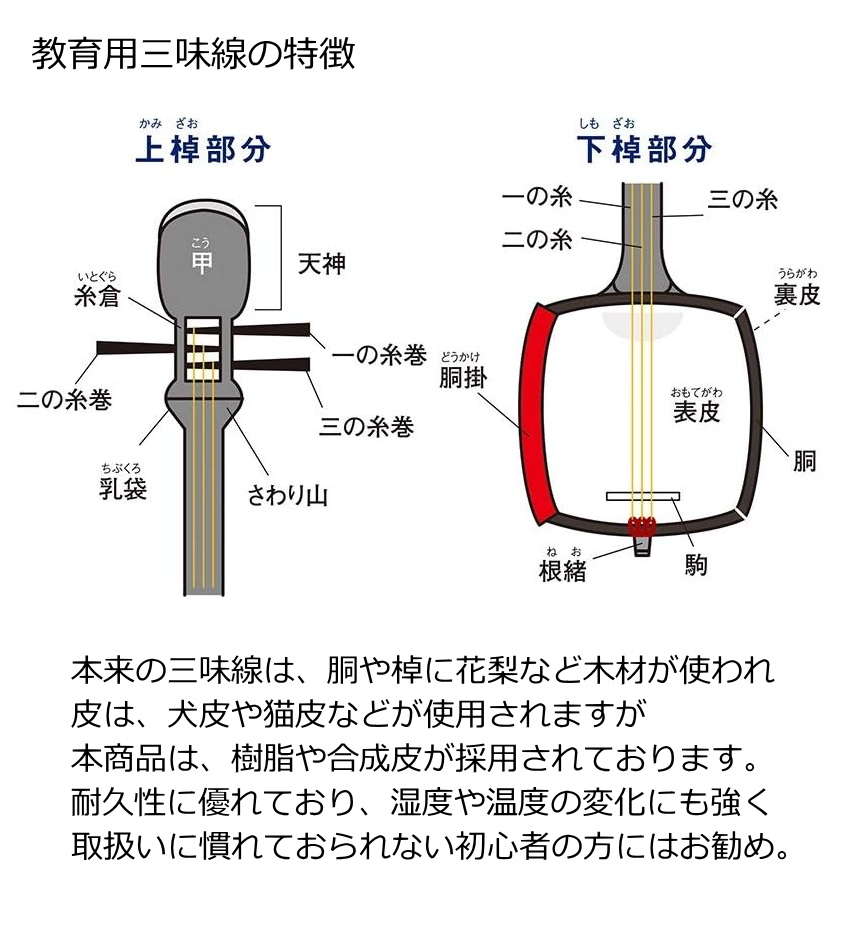 鈴木 長唄三味線 MS-8 学校用セット 関連画像3