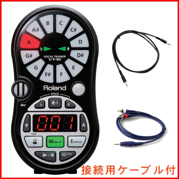 Roland VT-12 ブラック【接続ケーブル付】ローランド ボーカルトレーナー(VT12-BK)