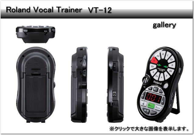 Roland VT-12 ブラック【便利な４点セット】ローランド ボーカルトレーナー(VT12-BK)_1